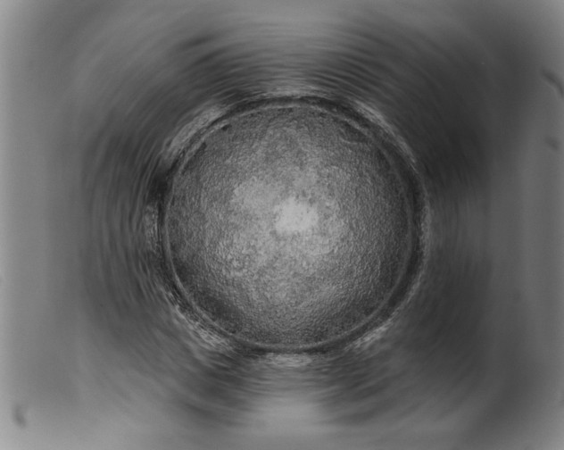 X0000099420825200805231627