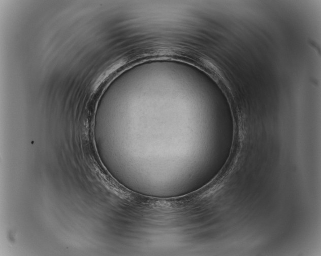 X0000099420827200805231627