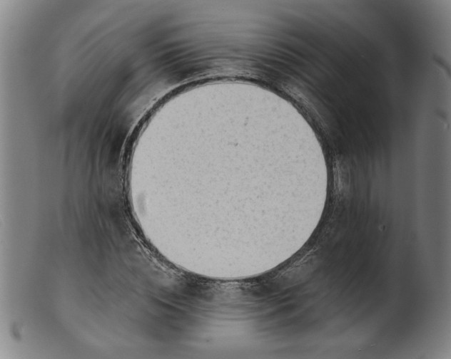 X0000099420828200805231627