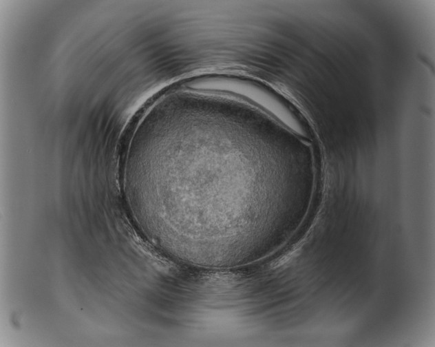 X0000099420830200805231627