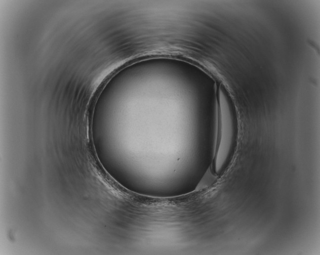 X0000099420838200805231627