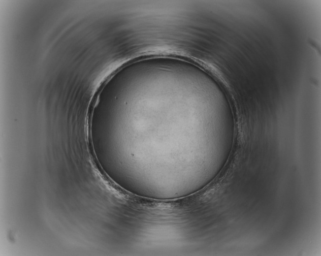 X0000099420839200805231627