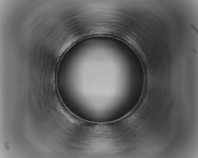 X0000099420842200805231627