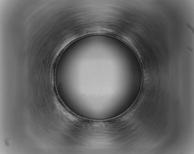 X0000099420843200805231627