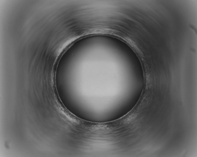 X0000099420846200805231627