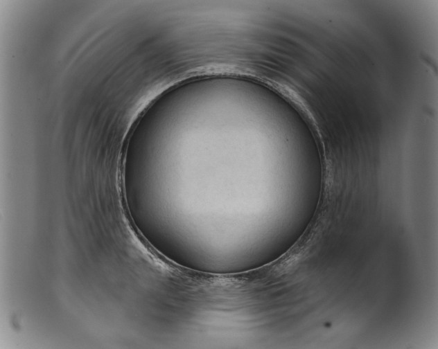 X0000099420847200805231627