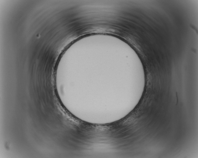 X0000099420848200805231627