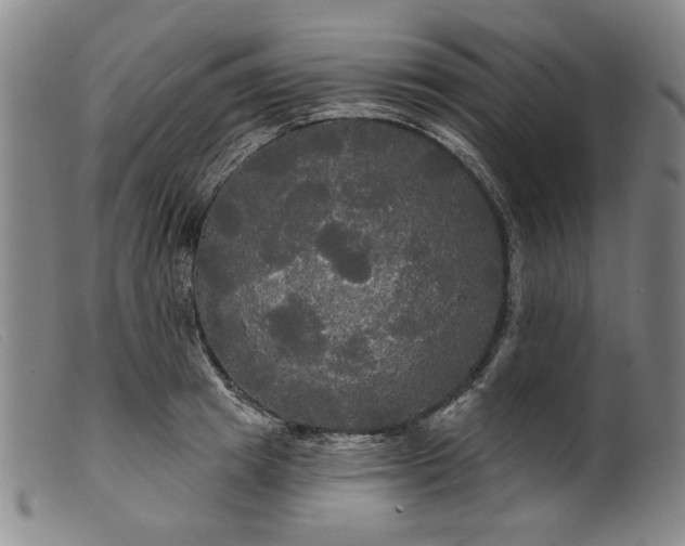 X0000099420849200805231627