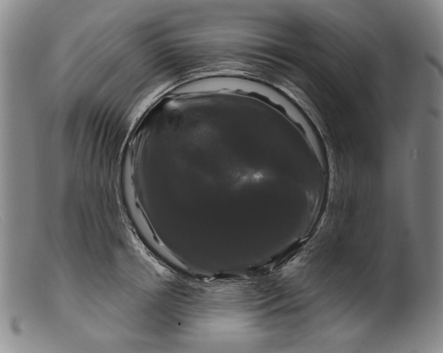 X0000099420850200805231627
