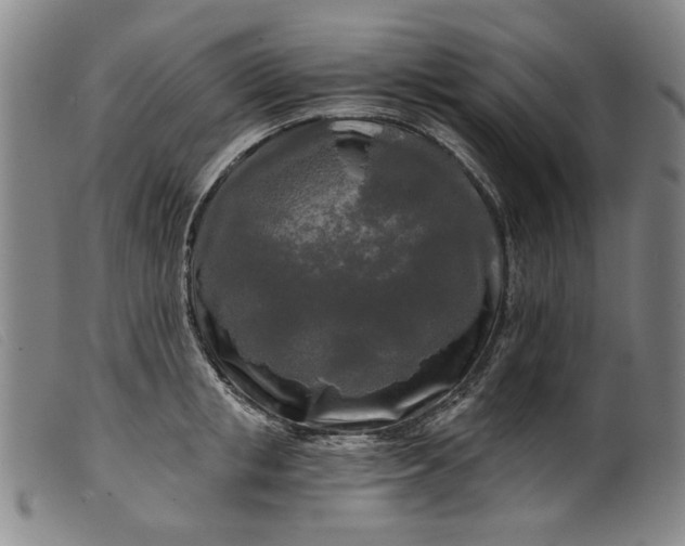 X0000099420853200805231627