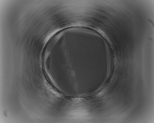 X0000099420854200805231627