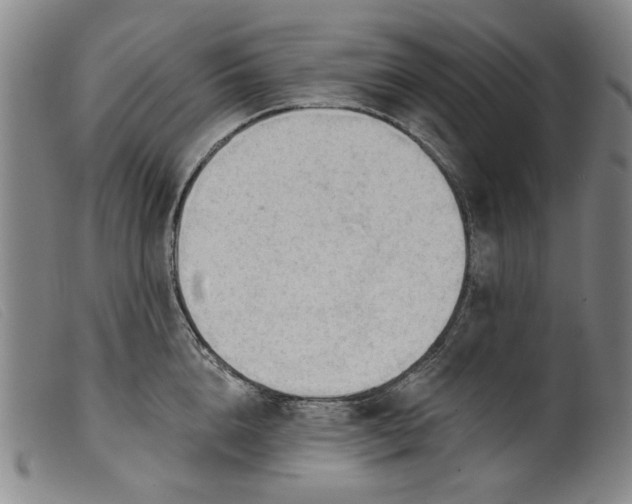 X0000099420856200805231627