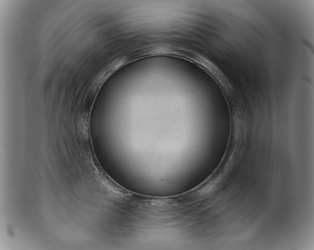 X0000099420857200805231627