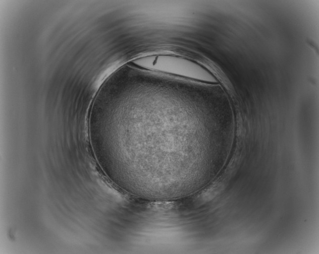 X0000099420858200805231627