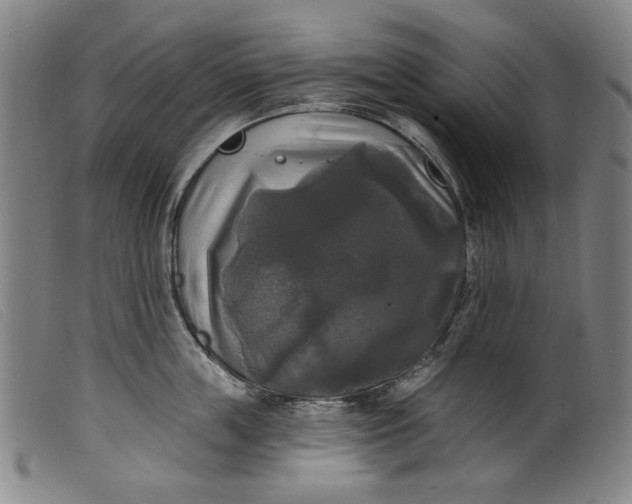 X0000099420859200805231627