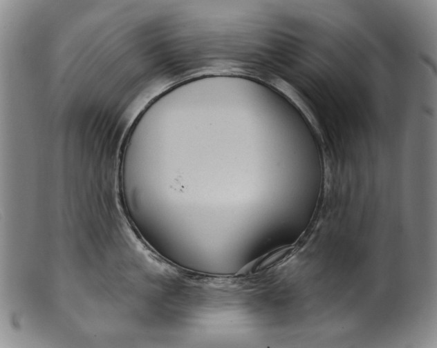 X0000099420861200805231627