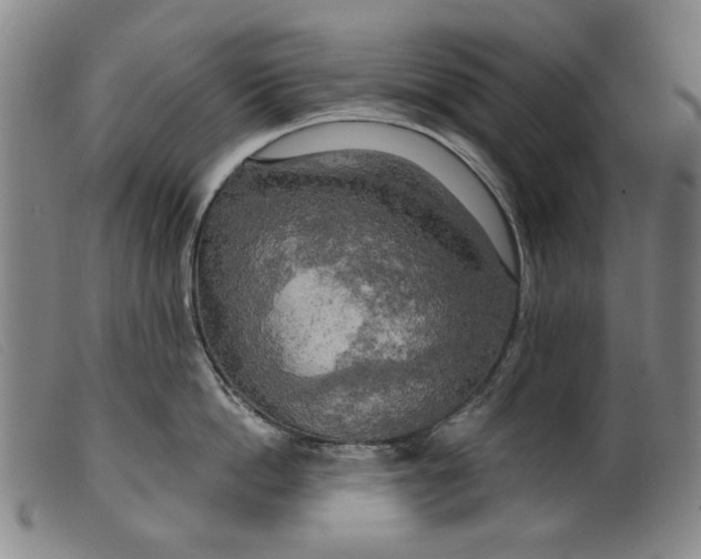 X0000099420862200805231627