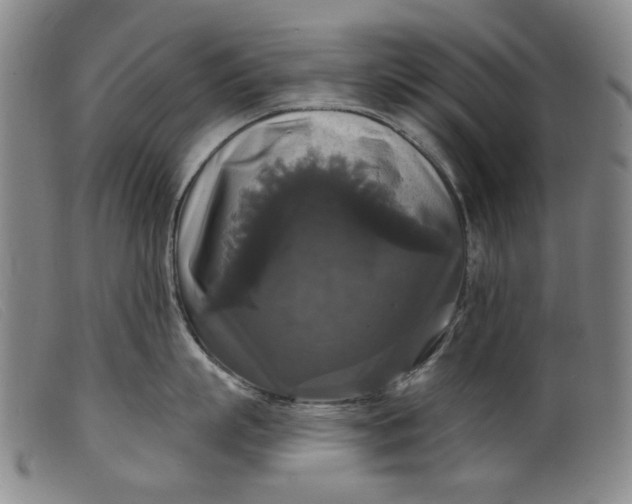 X0000099420863200805231627