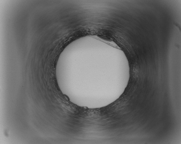 X0000099420865200805231627