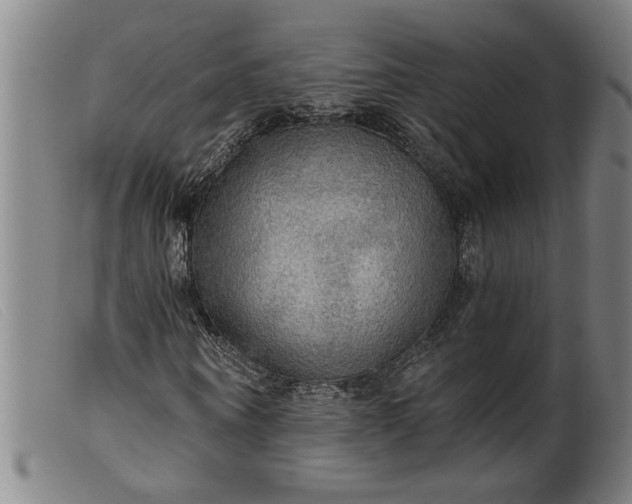 X0000099420866200805231626