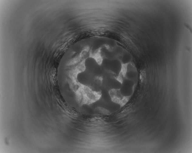 X0000099420867200805231626