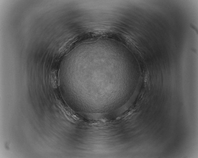 X0000099420868200805231626