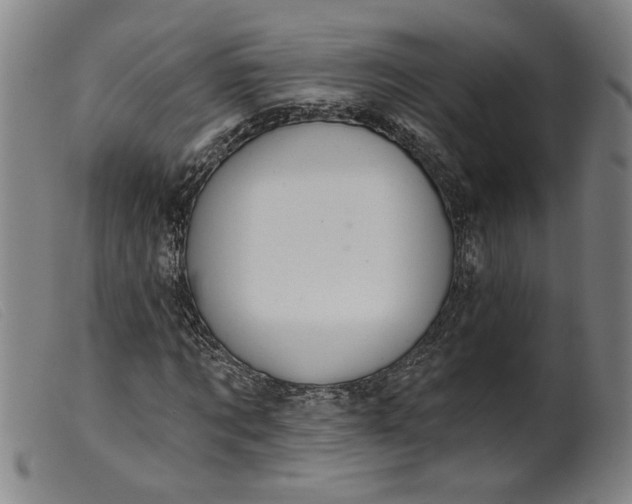 X0000099420869200805231626