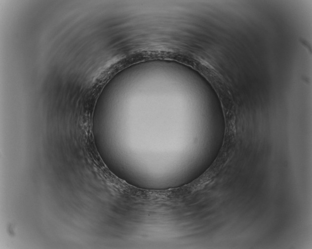 X0000099420870200805231626