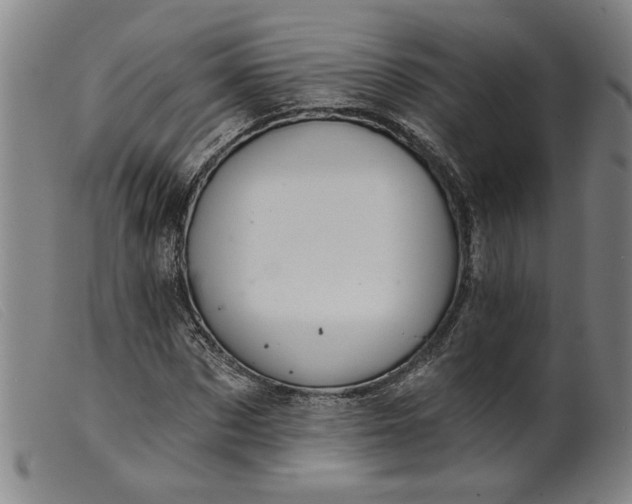 X0000099420873200805231626