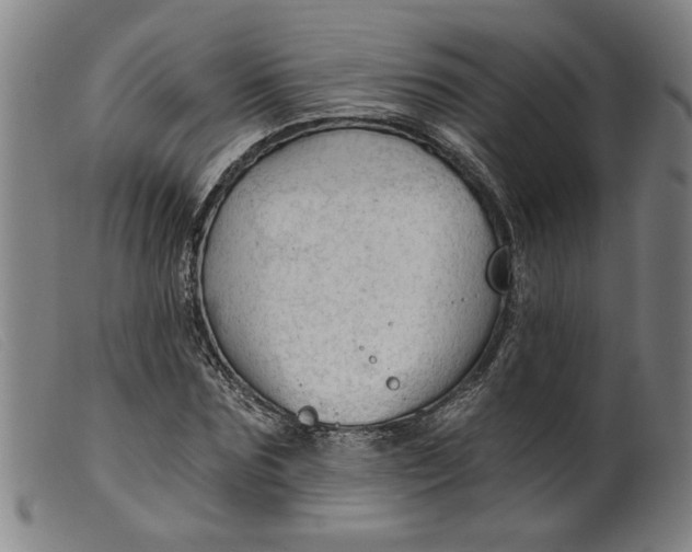 X0000099420875200805231626