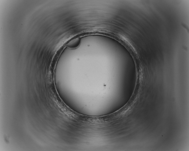 X0000099420876200805231626