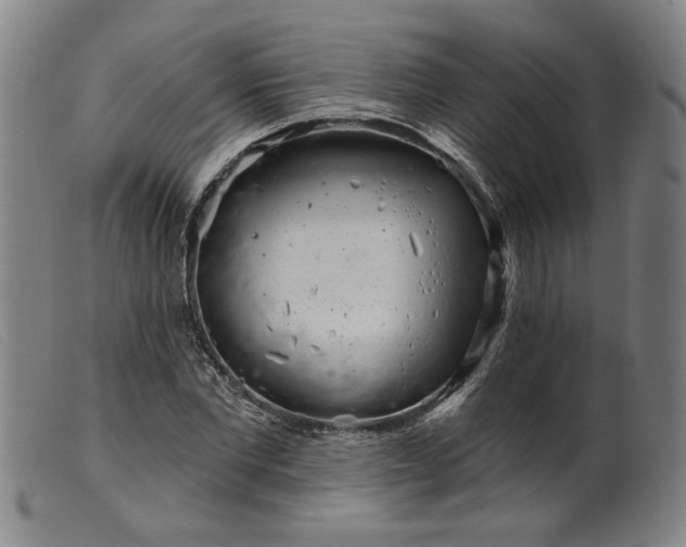X0000099420877200805231626