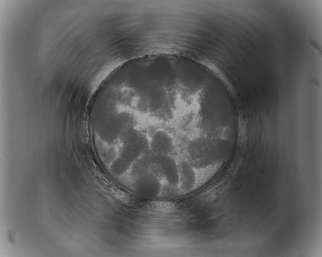 X0000099420878200805231626