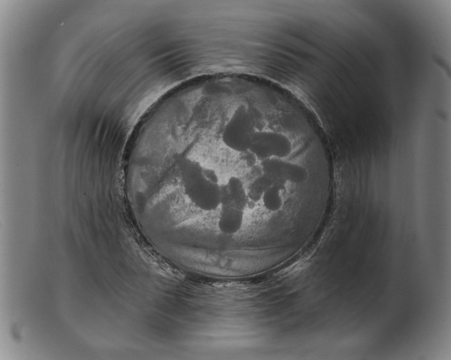 X0000099420879200805231626