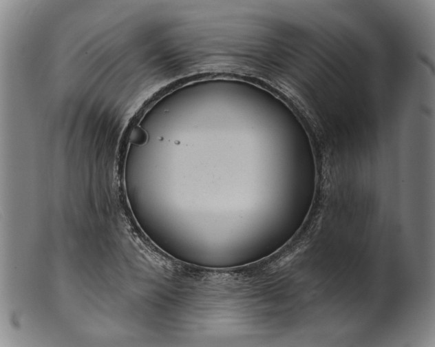 X0000099420880200805231626