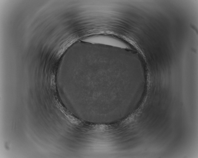 X0000099420881200805231626