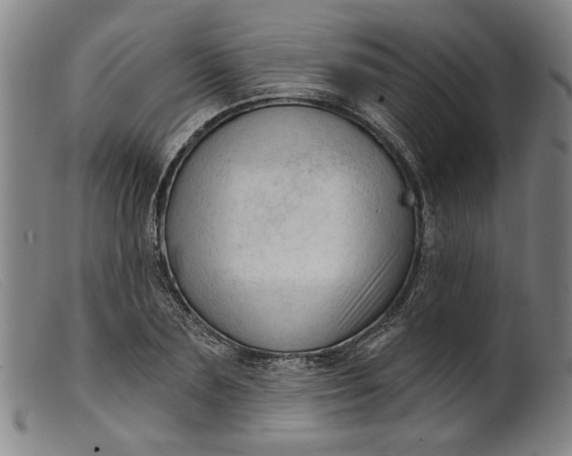 X0000099420883200805231626