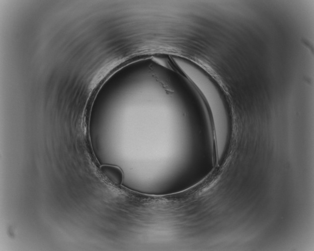 X0000099420885200805231626