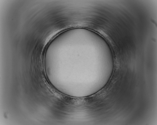 X0000099420886200805231626