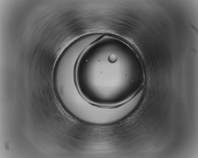 X0000099420887200805231626