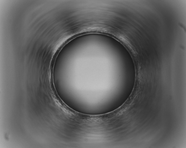 X0000099420888200805231626