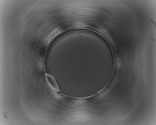 X0000099420889200805231626