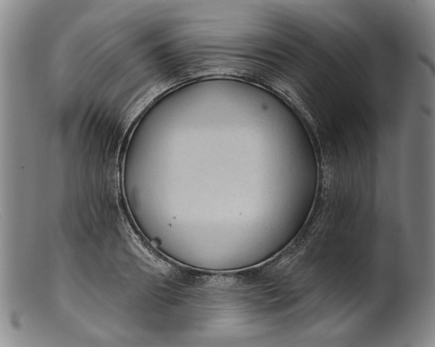X0000099420890200805231626