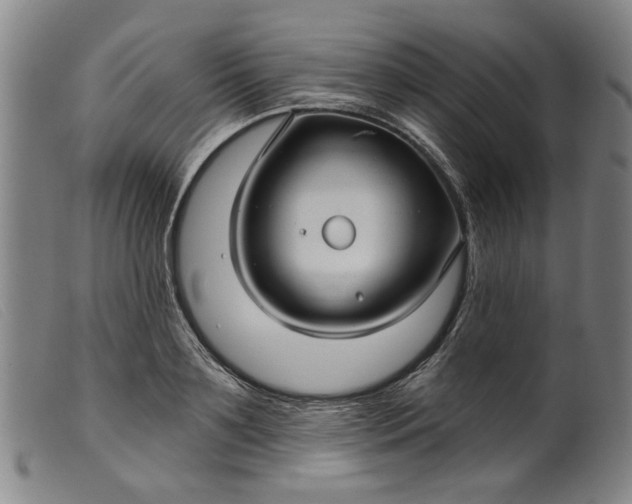 X0000099420891200805231626