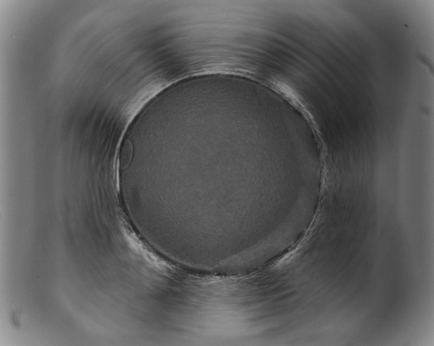 X0000099420892200805231626