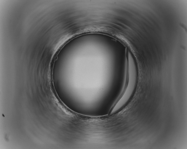X0000099420894200805231626