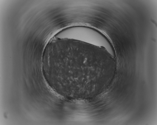 X0000099420895200805231626