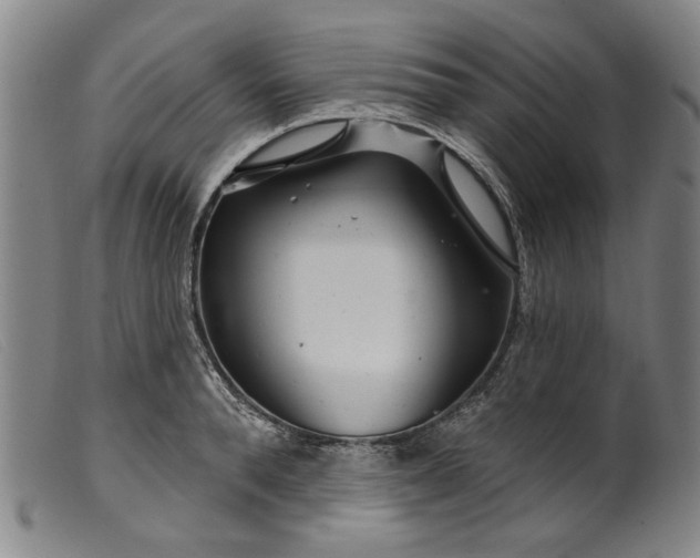 X0000099420896200805231626