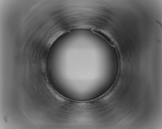 X0000099420897200805231626