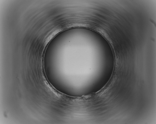X0000099420898200805231626